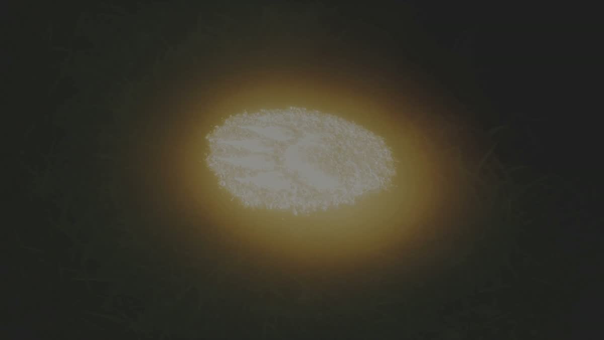 A werewolf paw print in the grass glowing amber under the Looking Glass